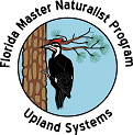 Upland Systems